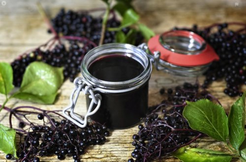 Elderberry Winter Herb