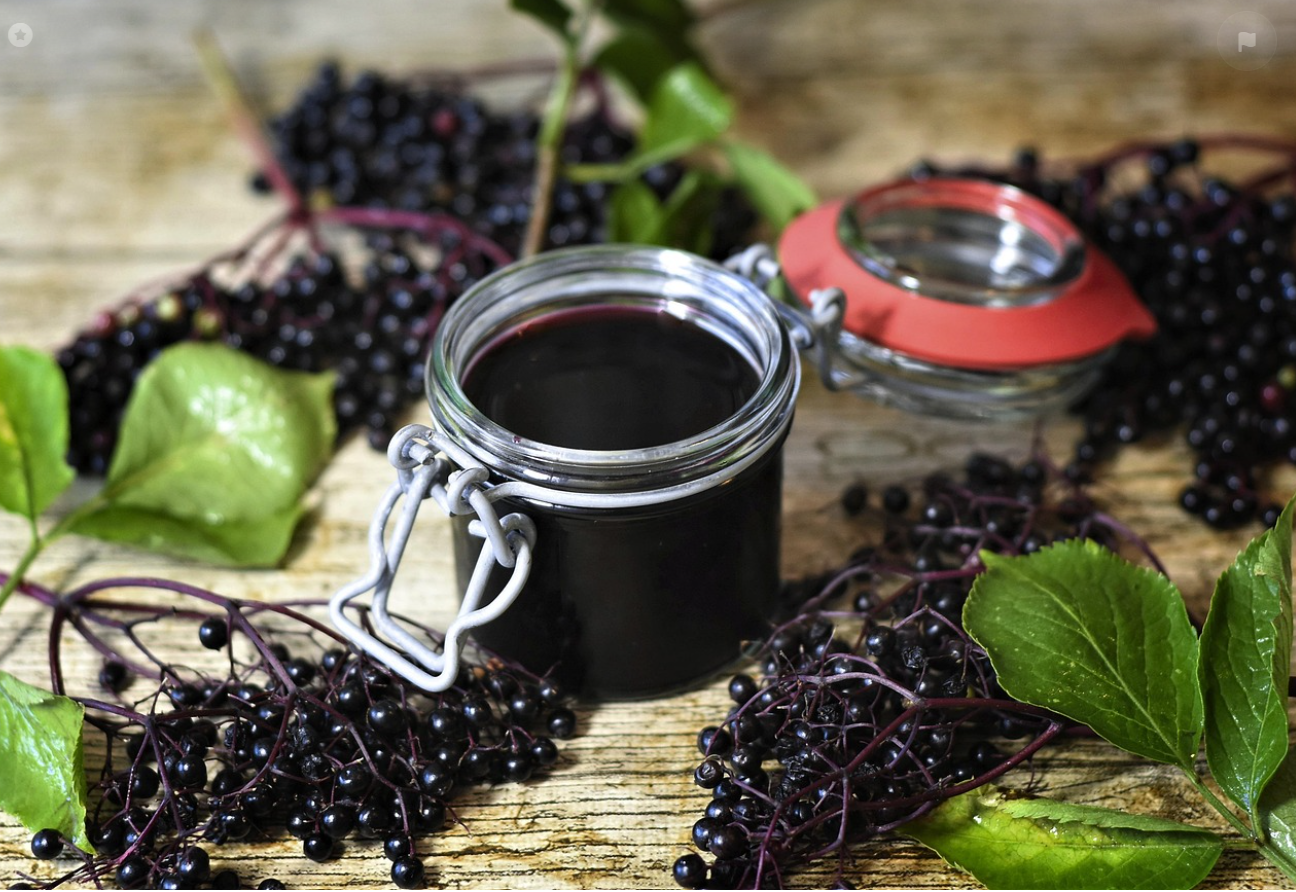 Elderberry Winter Herb