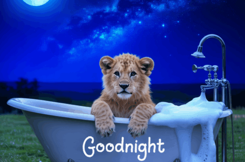 NEW YOU NEW MOON LEO HEALTH ASTROLOGY