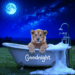 NEW YOU NEW MOON LEO HEALTH ASTROLOGY